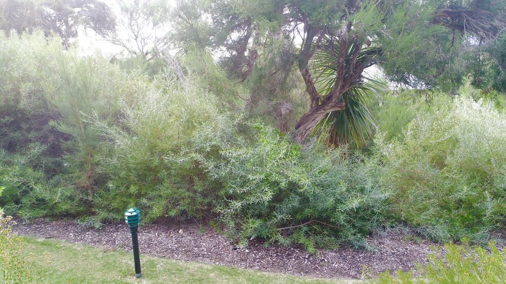 Margaret River Beach Apartments Gnarabup Экстерьер фото