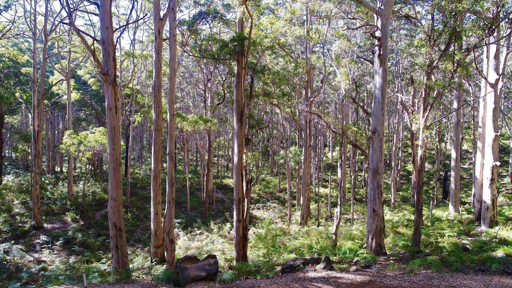 Margaret River Beach Apartments Gnarabup Экстерьер фото